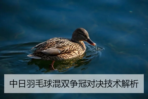 中日羽毛球混双争冠对决技术解析